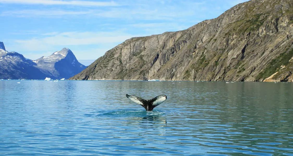 Shutterstock 707558074 1