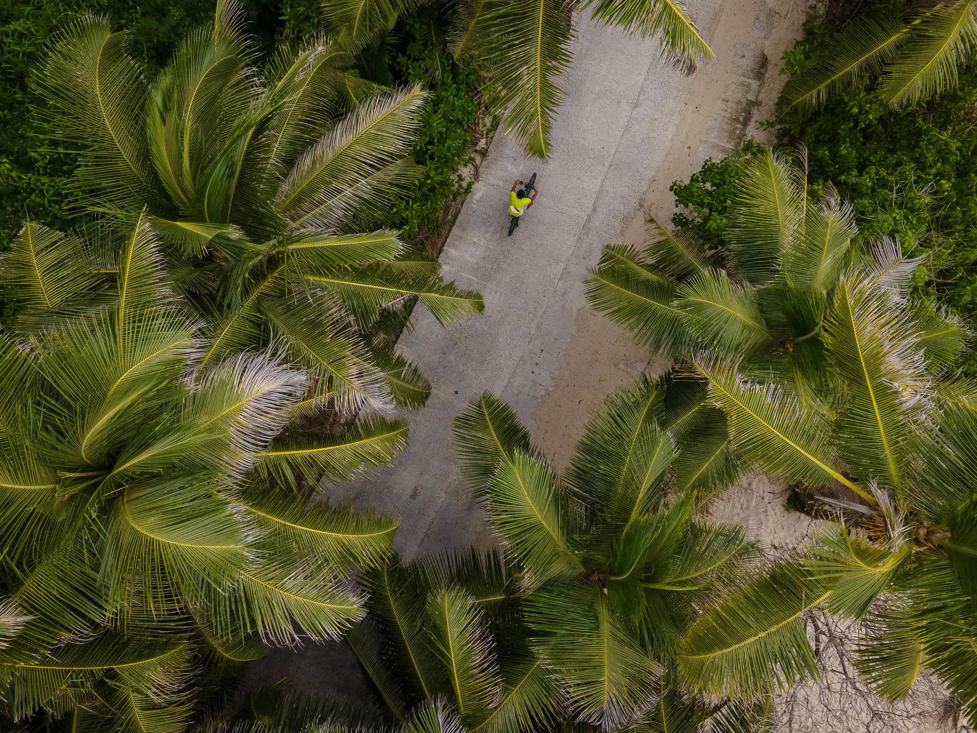 La Digue (1)